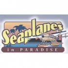 Seaplanes In Paradise